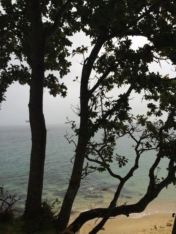 Ty Mad Otel Douarnenez Dış mekan fotoğraf
